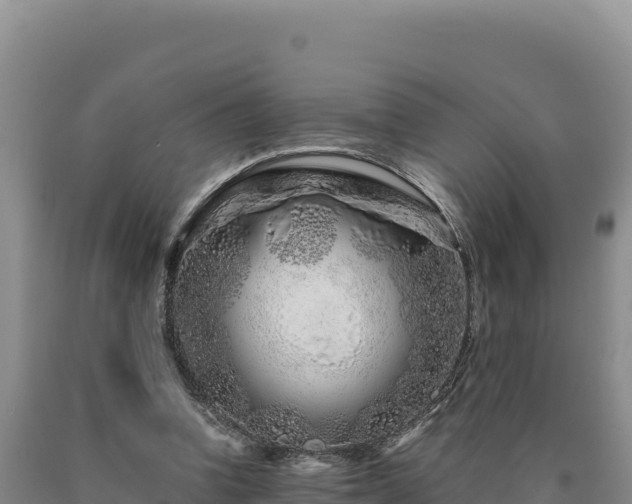 X0000090720346200707271157