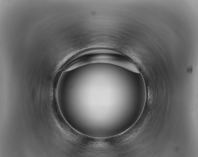 X0000090720348200707271157
