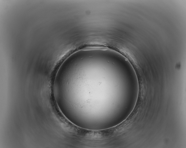 X0000090720354200707271157