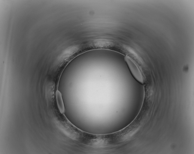 X0000090720356200707271157