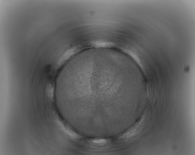 X0000090720357200707271157
