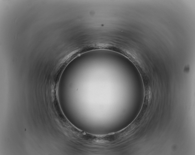 X0000090720360200707271157