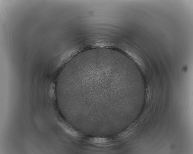 X0000090720361200707271157