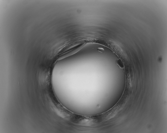 X0000090720364200707271157