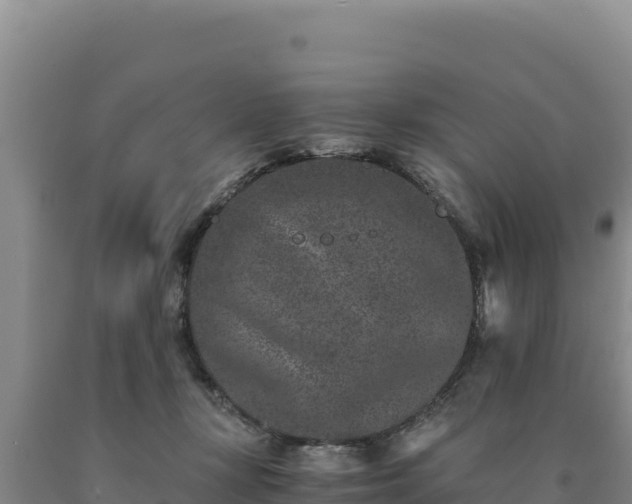 X0000090720367200707271157