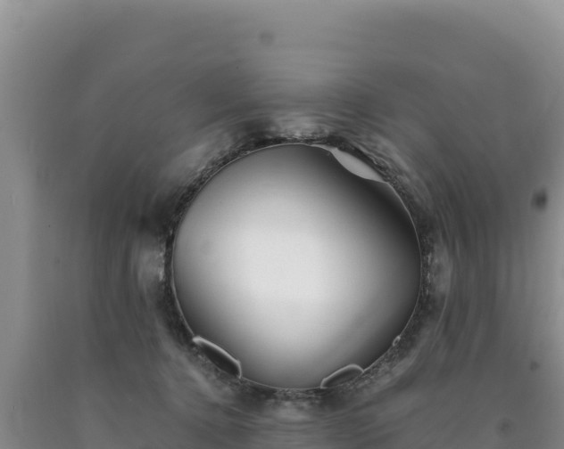 X0000090720368200707271157