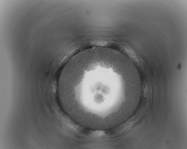 X0000090720374200707271158