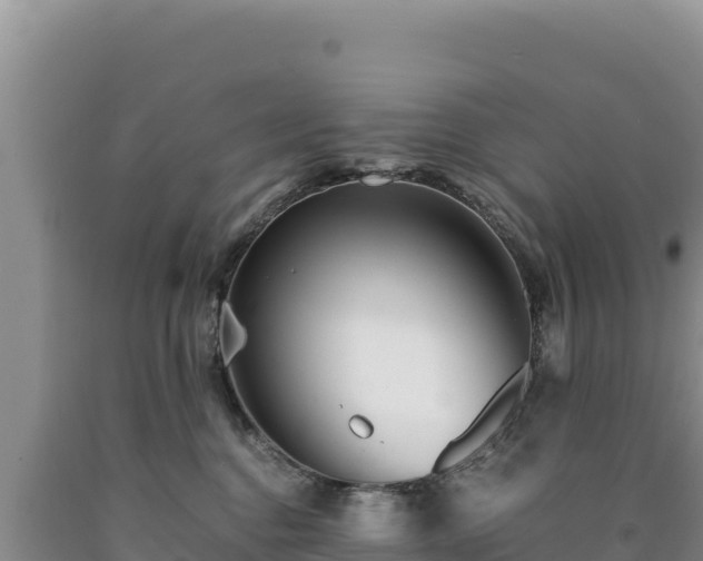 X0000090720376200707271158
