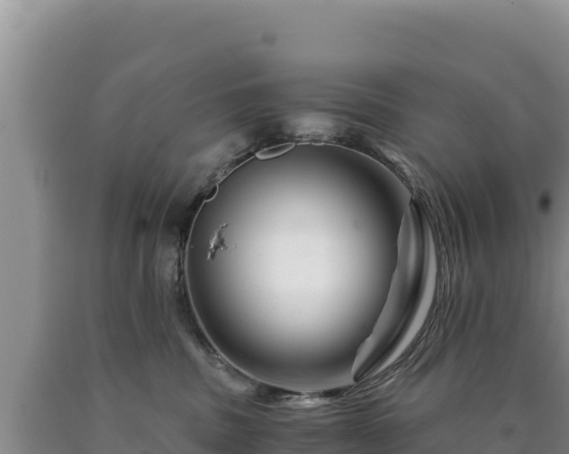 X0000090720379200707271158