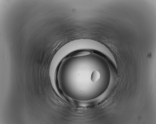 X0000090720384200707271158
