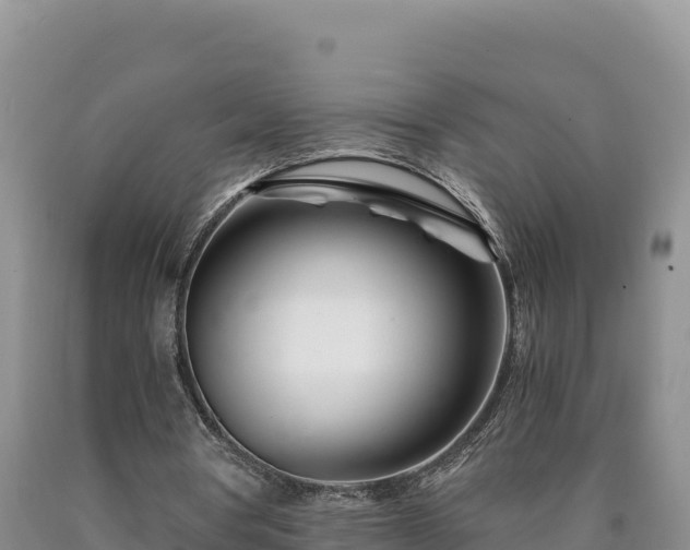 X0000090720386200707271157