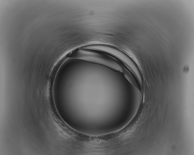 X0000090720387200707271157
