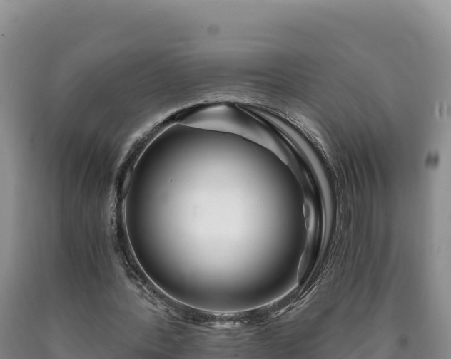 X0000090720388200707271157