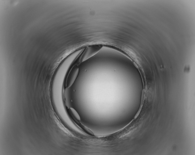 X0000090720389200707271157