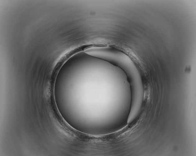 X0000090720392200707271157