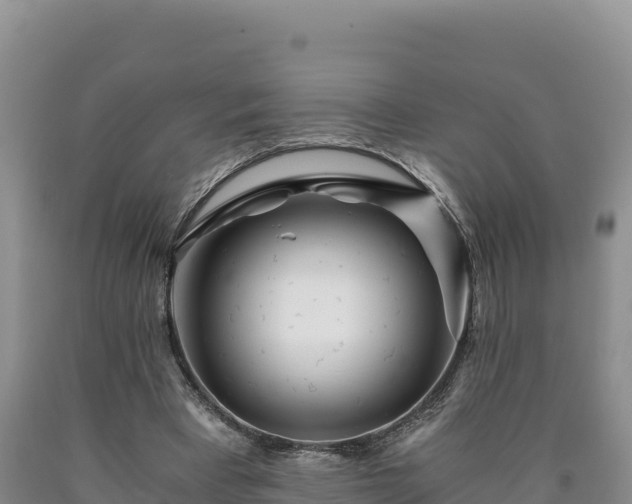 X0000090720393200707271157