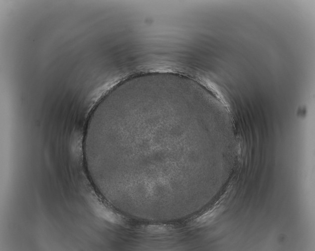 X0000090720394200707271157