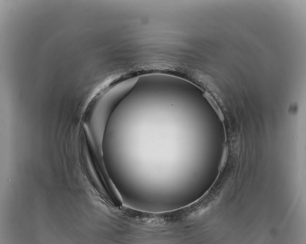 X0000090720395200707271157