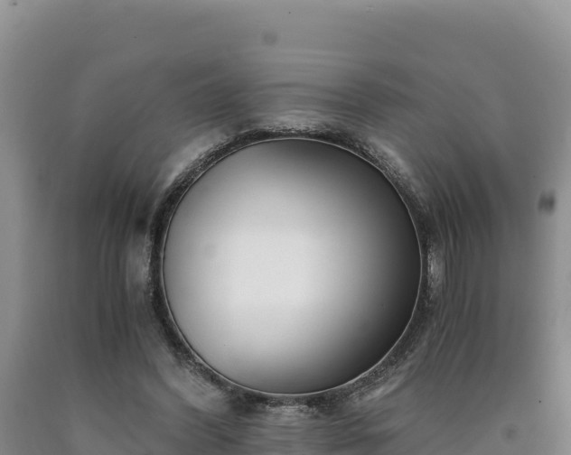 X0000090720396200707271157