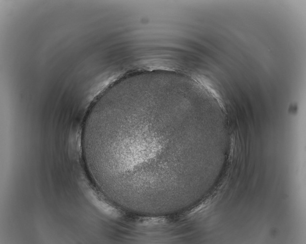 X0000090720398200707271157