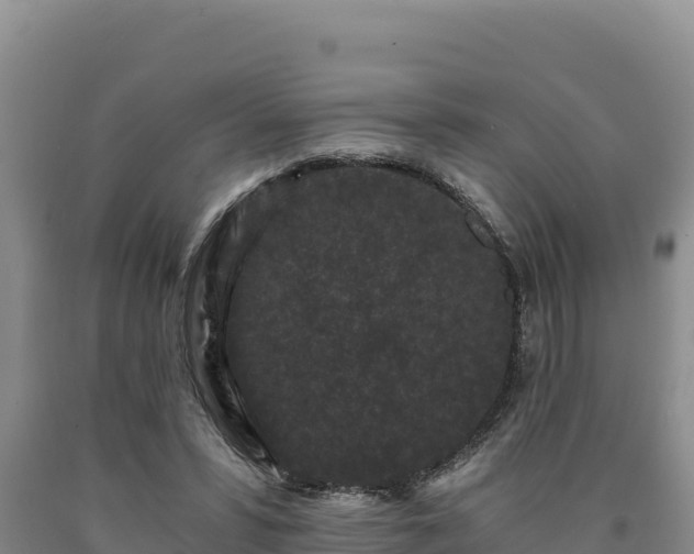 X0000090720399200707271157