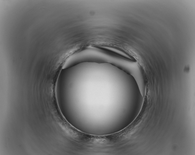 X0000090720401200707271157