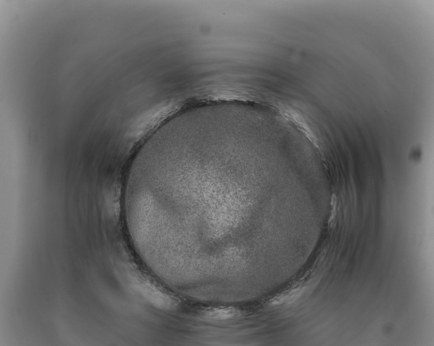X0000090720402200707271157