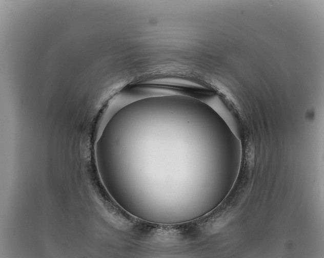 X0000090720403200707271157