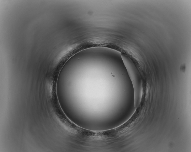 X0000090720404200707271157