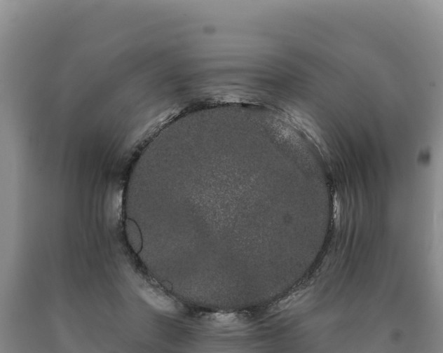 X0000090720406200707271157
