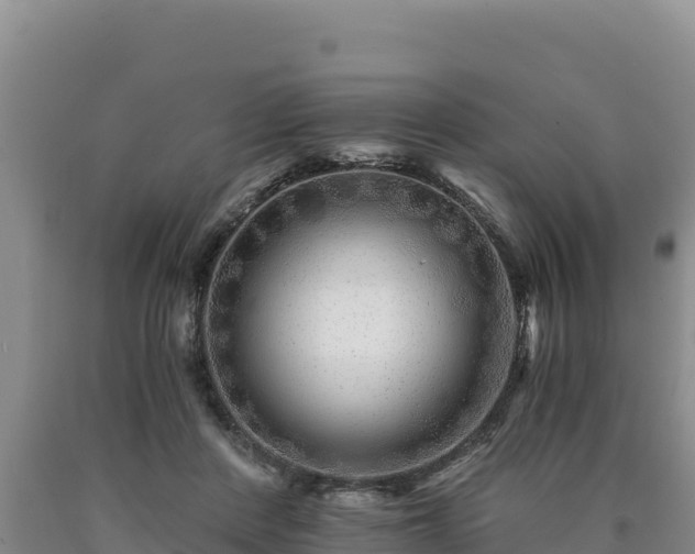 X0000090720408200707271157