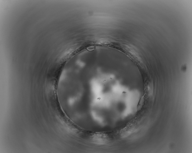 X0000090720415200707271157