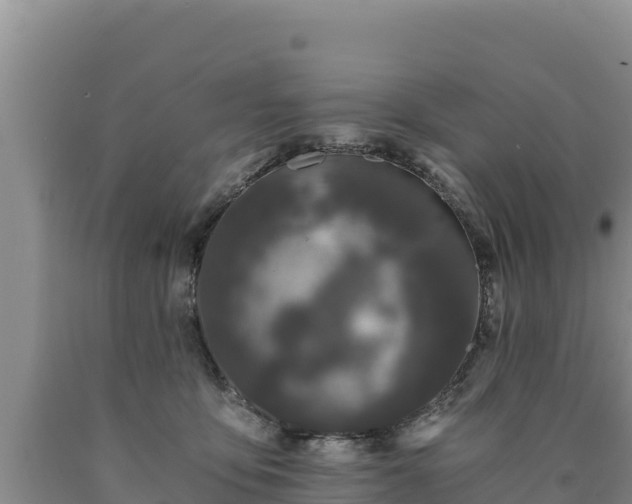 X0000090720419200707271157