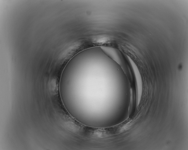 X0000090720420200707271156