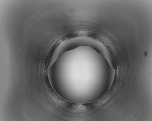 X0000090720421200707271156
