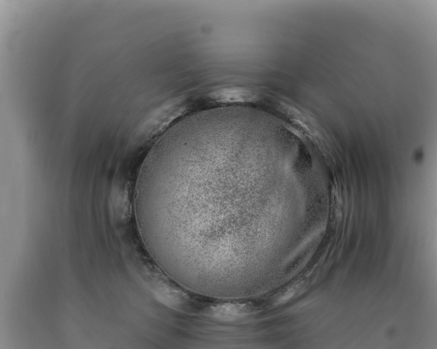 X0000090720422200707271156