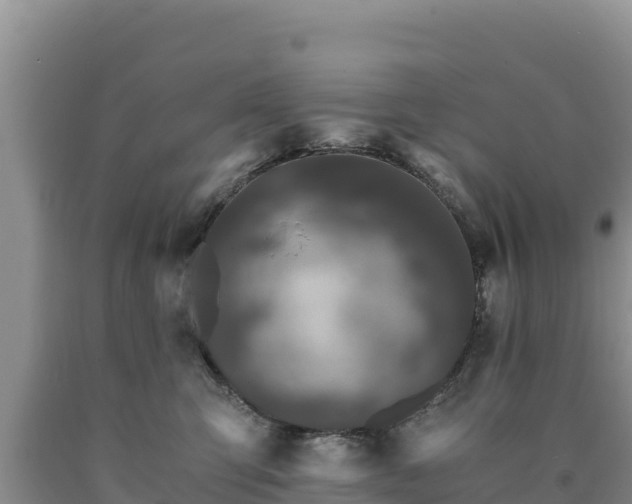 X0000090720423200707271156