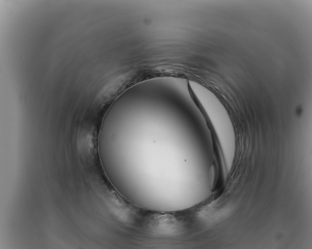 X0000090720424200707271156