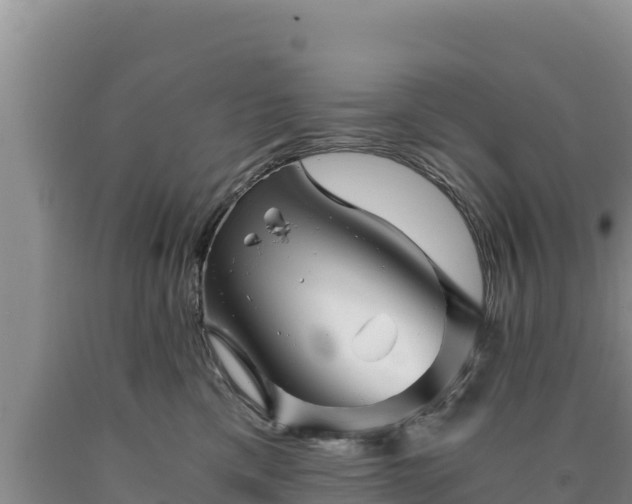 X0000090720425200707271156