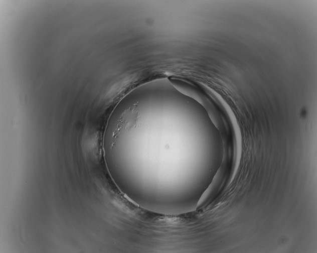 X0000090720428200707271156