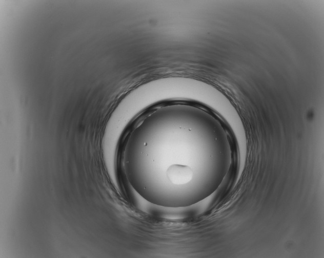 X0000090720429200707271156