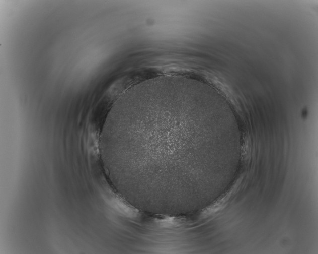 X0000090720430200707271156