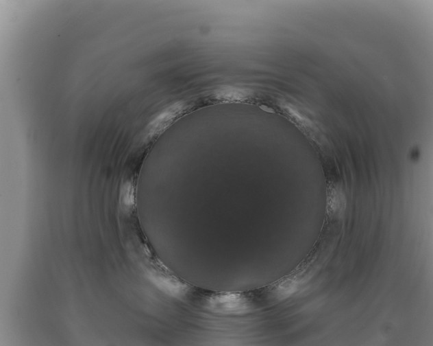 X0000090720431200707271156