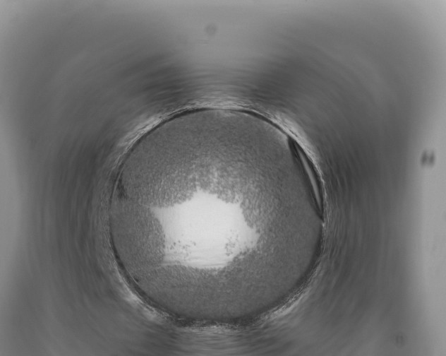 X0000090720433200707271156