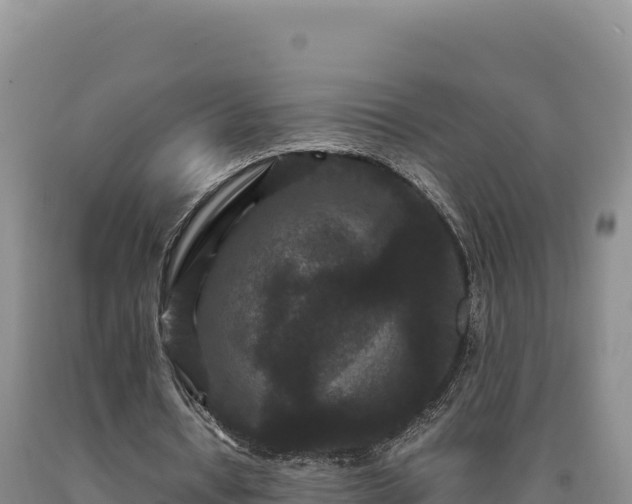 X0000090720434200707271156