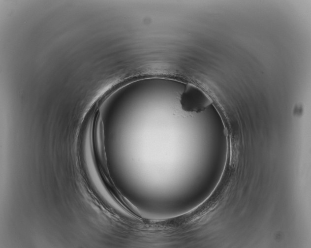 X0000090720435200707271156