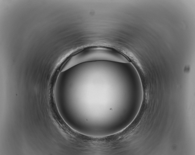 X0000090720436200707271156