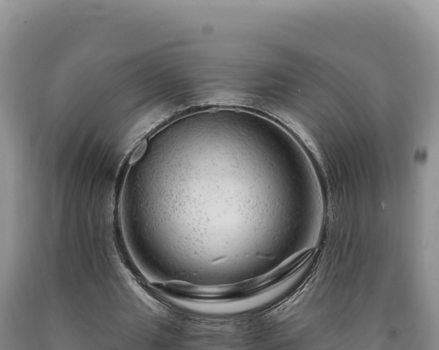 X0000090720437200707271156