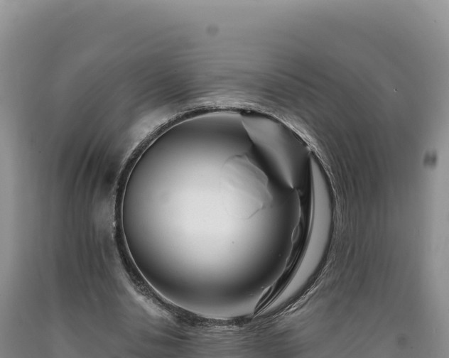 X0000090720438200707271156