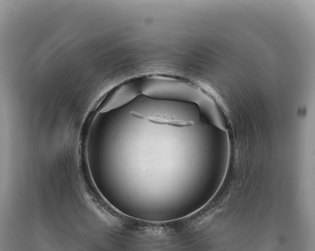 X0000090720439200707271156